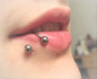 piercing lèvre